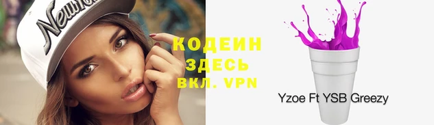 соль ск Струнино