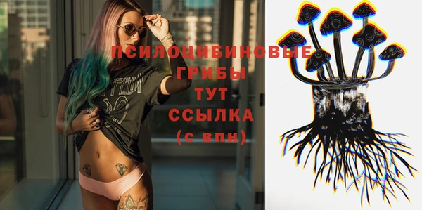 соль ск Струнино